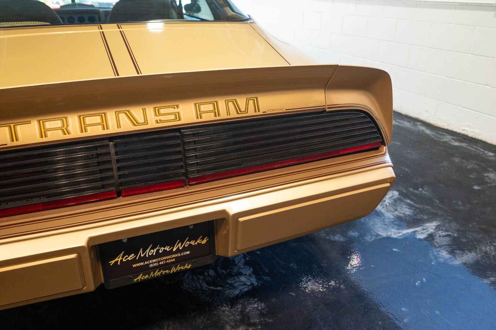 Pontiac-Trans-Am-1979-Gold-Tan-8063-26