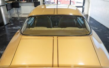 Pontiac-Trans-Am-1979-Gold-Tan-8063-28