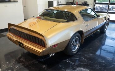 Pontiac-Trans-Am-1979-Gold-Tan-8063-29