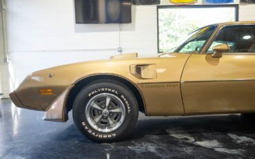 Pontiac-Trans-Am-1979-Gold-Tan-8063-3