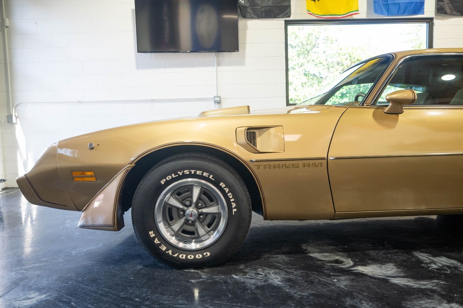 Pontiac-Trans-Am-1979-Gold-Tan-8063-3