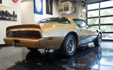 Pontiac-Trans-Am-1979-Gold-Tan-8063-30