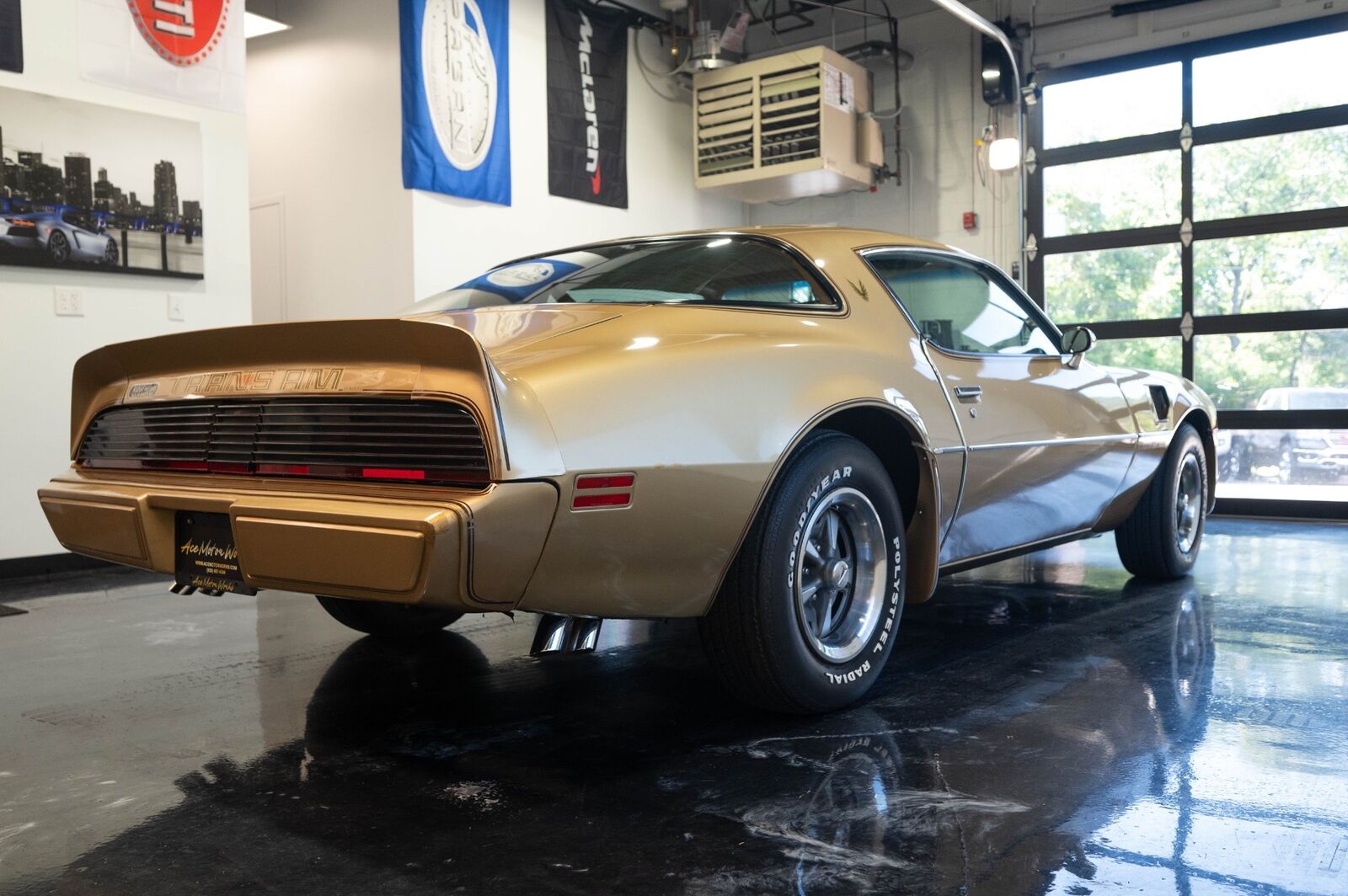 Pontiac-Trans-Am-1979-Gold-Tan-8063-30