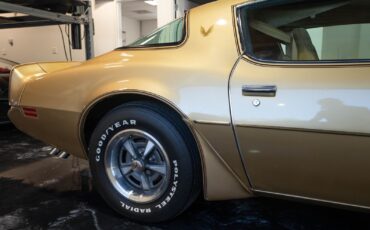 Pontiac-Trans-Am-1979-Gold-Tan-8063-35