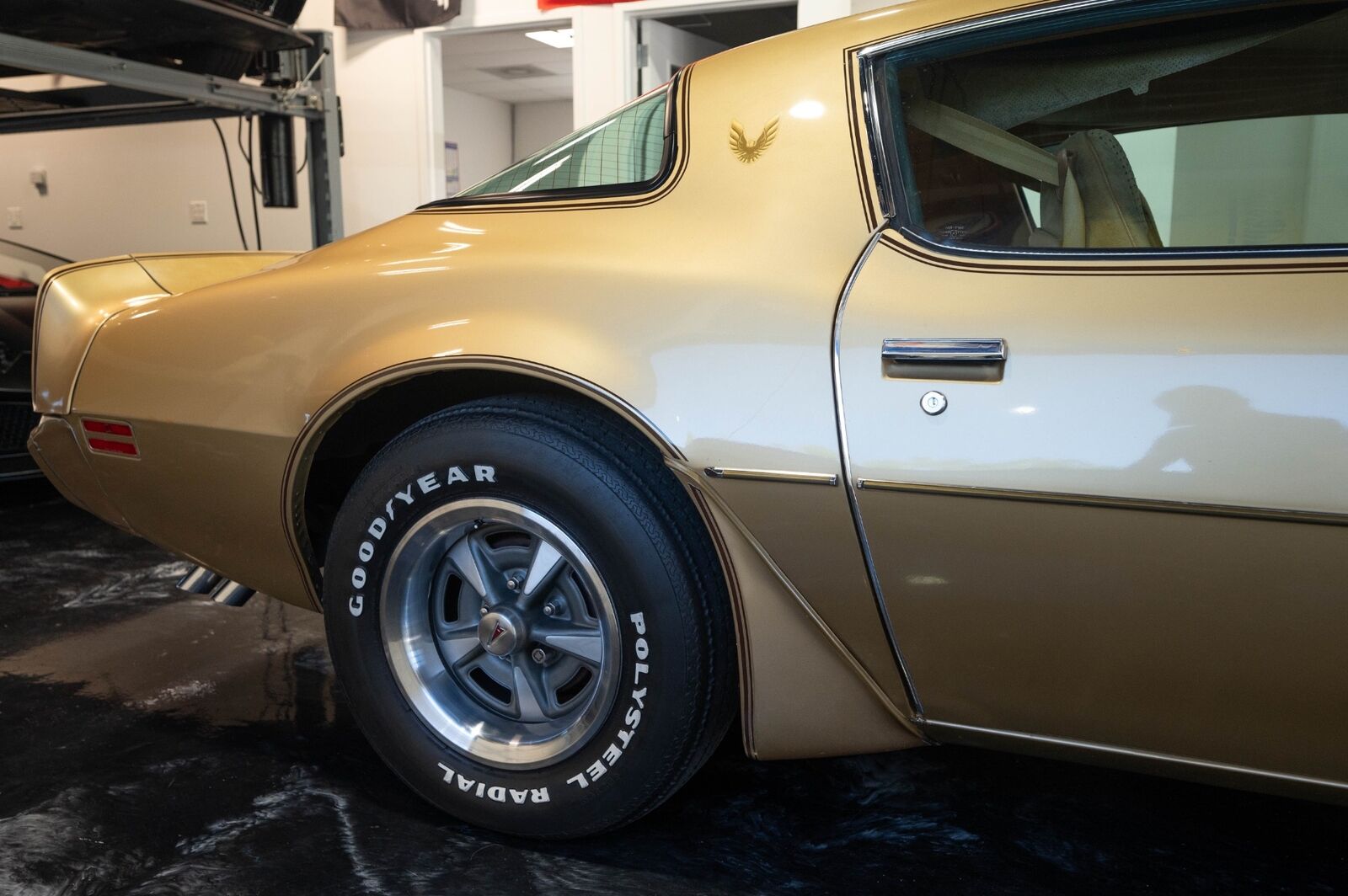 Pontiac-Trans-Am-1979-Gold-Tan-8063-35