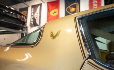 Pontiac-Trans-Am-1979-Gold-Tan-8063-37