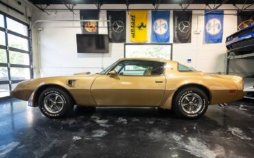 Pontiac-Trans-Am-1979-Gold-Tan-8063-5