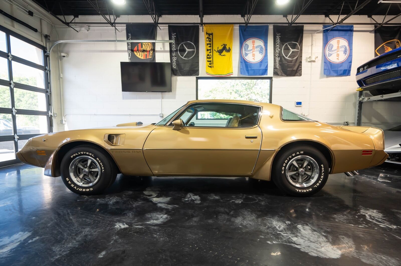 Pontiac-Trans-Am-1979-Gold-Tan-8063-5