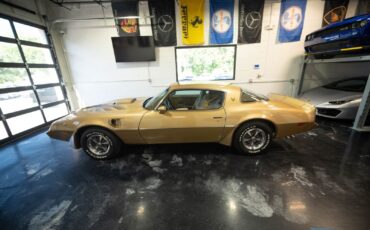 Pontiac-Trans-Am-1979-Gold-Tan-8063-6