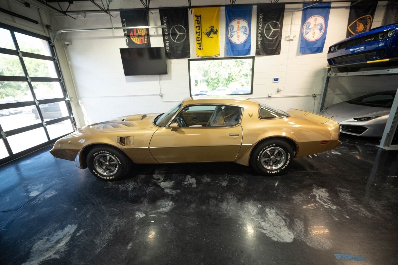 Pontiac-Trans-Am-1979-Gold-Tan-8063-6