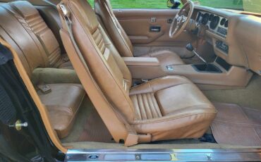 Pontiac-Trans-Am-Berline-1979-Black-Tan-483-12