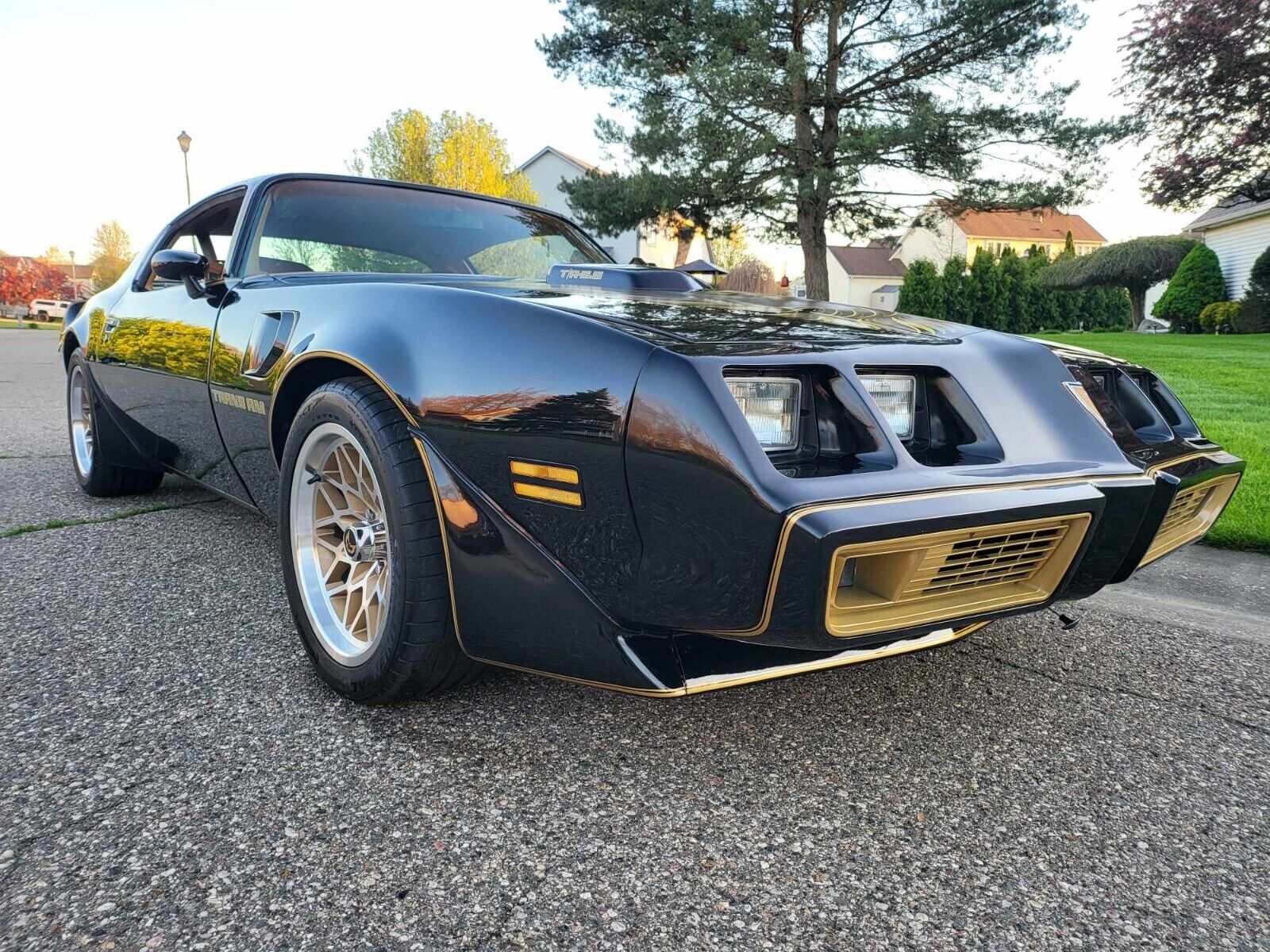 Pontiac-Trans-Am-Berline-1979-Black-Tan-483-4