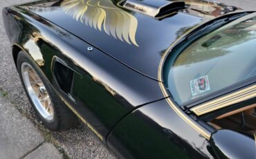 Pontiac-Trans-Am-Berline-1979-Black-Tan-483-9