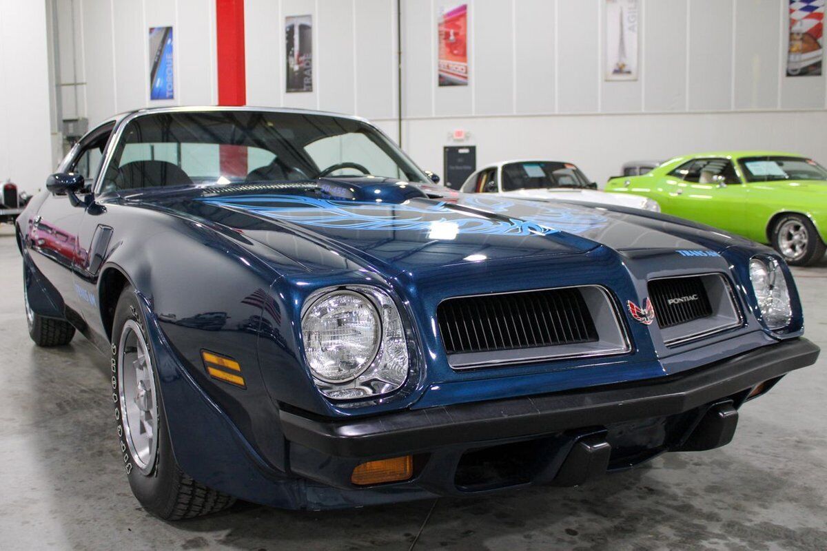 Pontiac-Trans-Am-Coupe-1974-Blue-124325-10