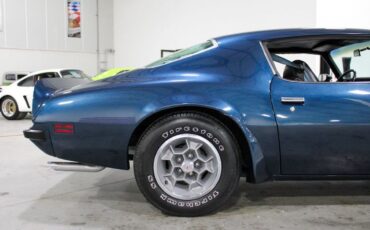 Pontiac-Trans-Am-Coupe-1974-Blue-124325-7