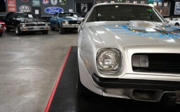 Pontiac-Trans-Am-Coupe-1975-Silver-Black-0-27