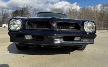 Pontiac-Trans-Am-Coupe-1976-Black-Ivory-19166-8