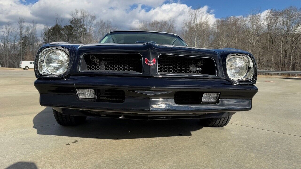 Pontiac-Trans-Am-Coupe-1976-Black-Ivory-19166-8