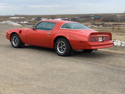 Pontiac-Trans-Am-Coupe-1977-Orange-Black-109435-10