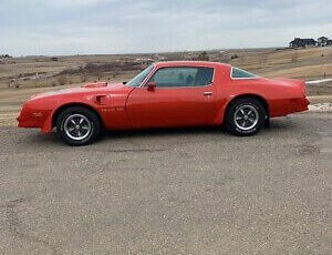 Pontiac-Trans-Am-Coupe-1977-Orange-Black-109435-3