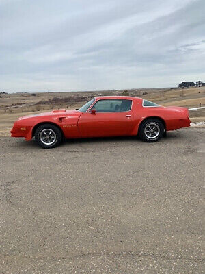 Pontiac-Trans-Am-Coupe-1977-Orange-Black-109435-3