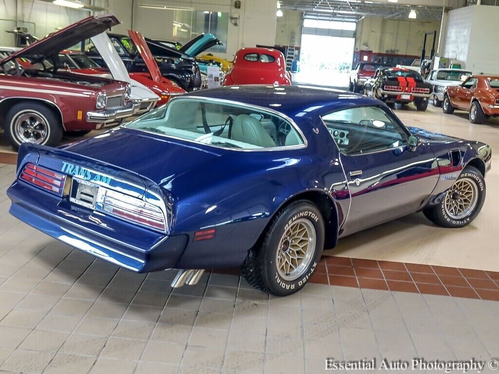 Pontiac-Trans-Am-Coupe-1978-Blue-White-134219-10