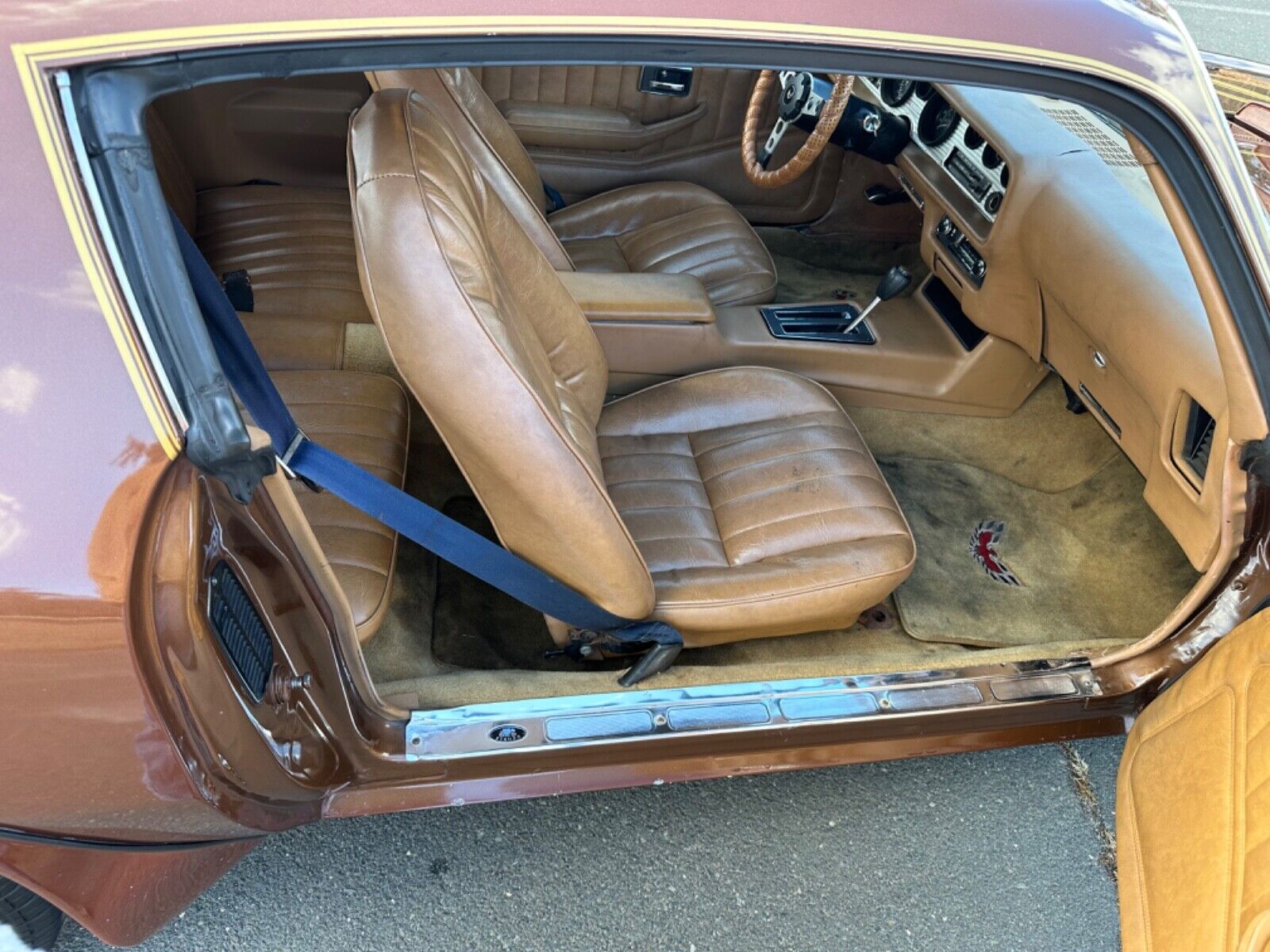 Pontiac-Trans-Am-Coupe-1978-Brown-Tan-95756-10