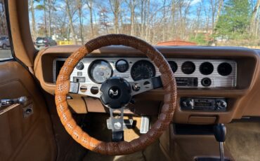 Pontiac-Trans-Am-Coupe-1978-Brown-Tan-95756-14