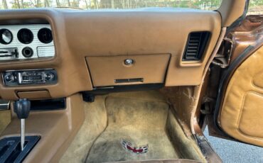 Pontiac-Trans-Am-Coupe-1978-Brown-Tan-95756-15