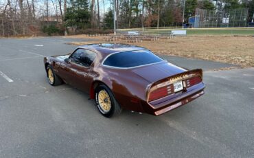 Pontiac-Trans-Am-Coupe-1978-Brown-Tan-95756-2