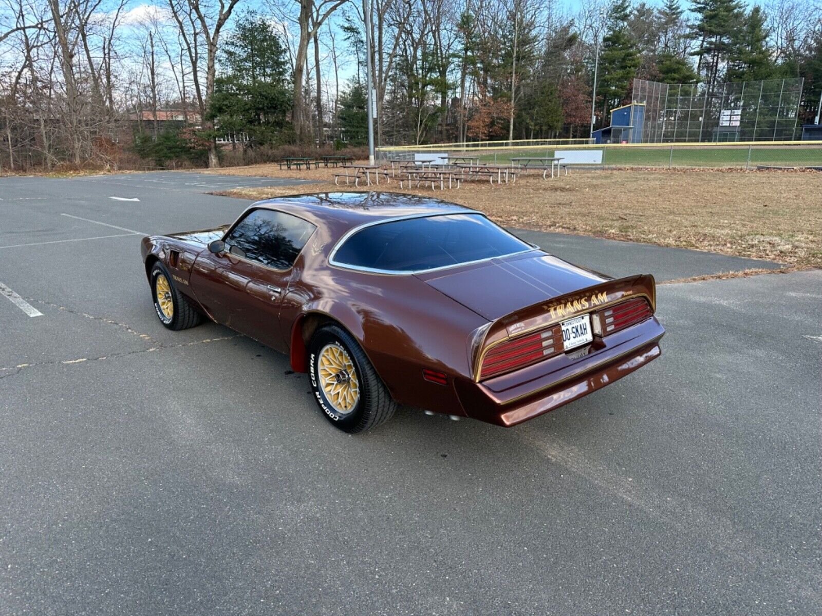 Pontiac-Trans-Am-Coupe-1978-Brown-Tan-95756-2