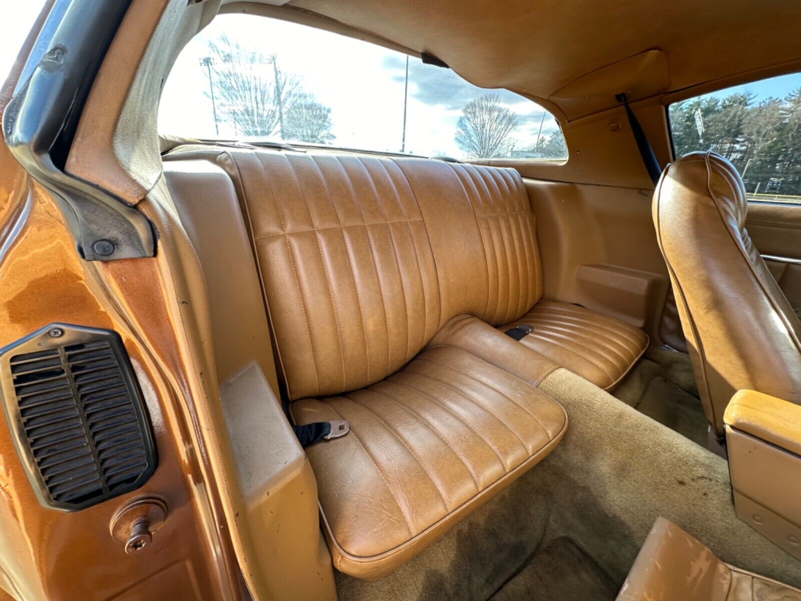 Pontiac-Trans-Am-Coupe-1978-Brown-Tan-95756-20