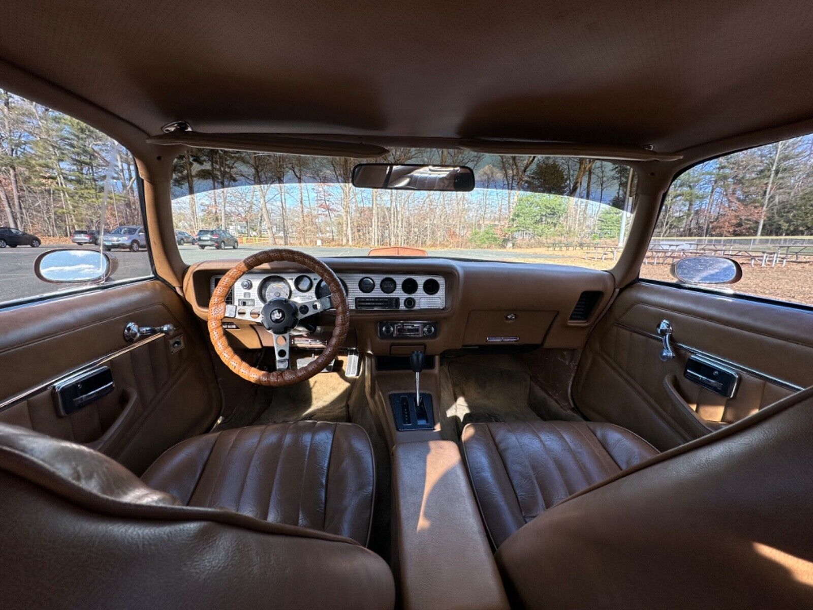 Pontiac-Trans-Am-Coupe-1978-Brown-Tan-95756-21