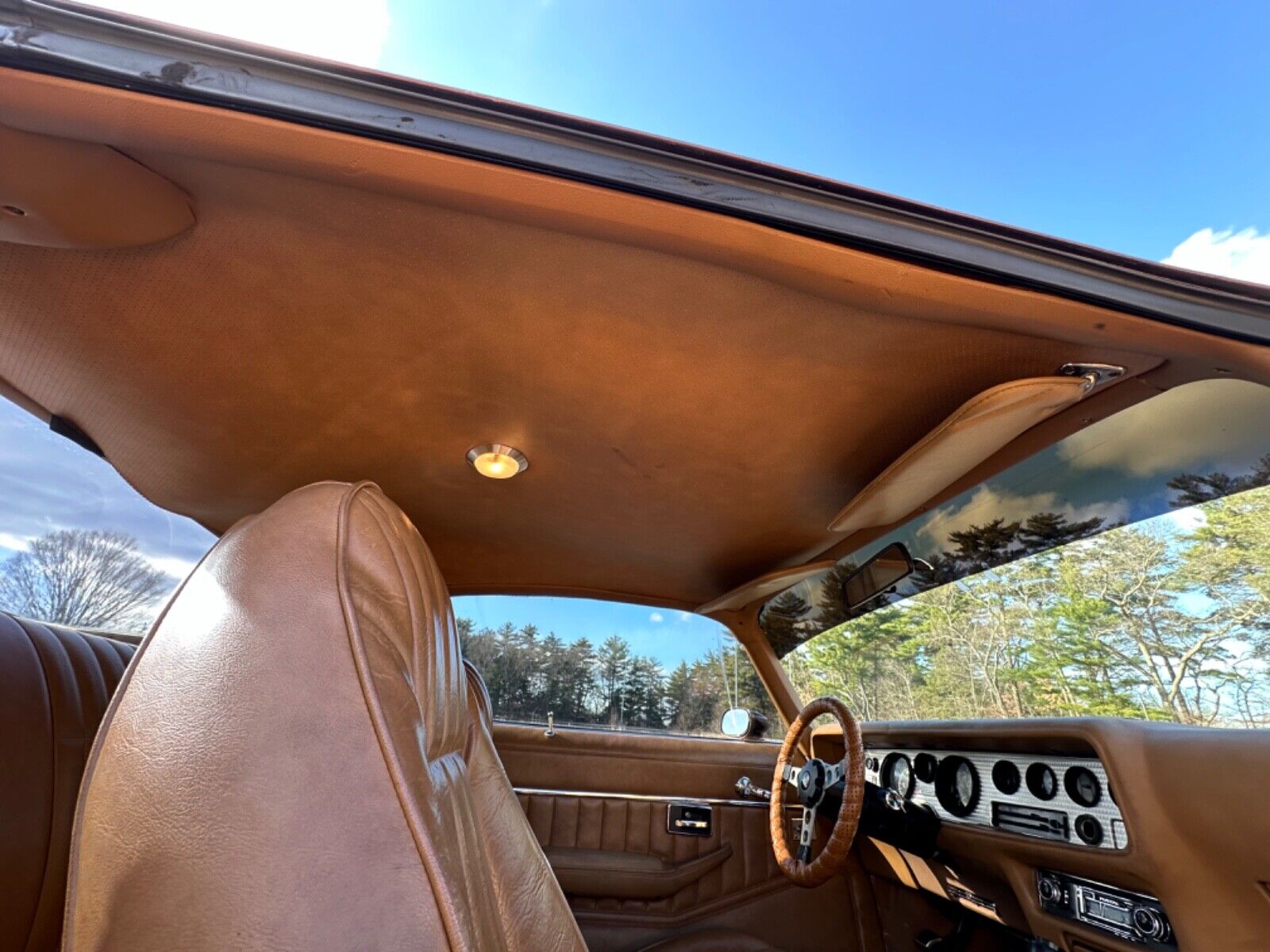 Pontiac-Trans-Am-Coupe-1978-Brown-Tan-95756-22