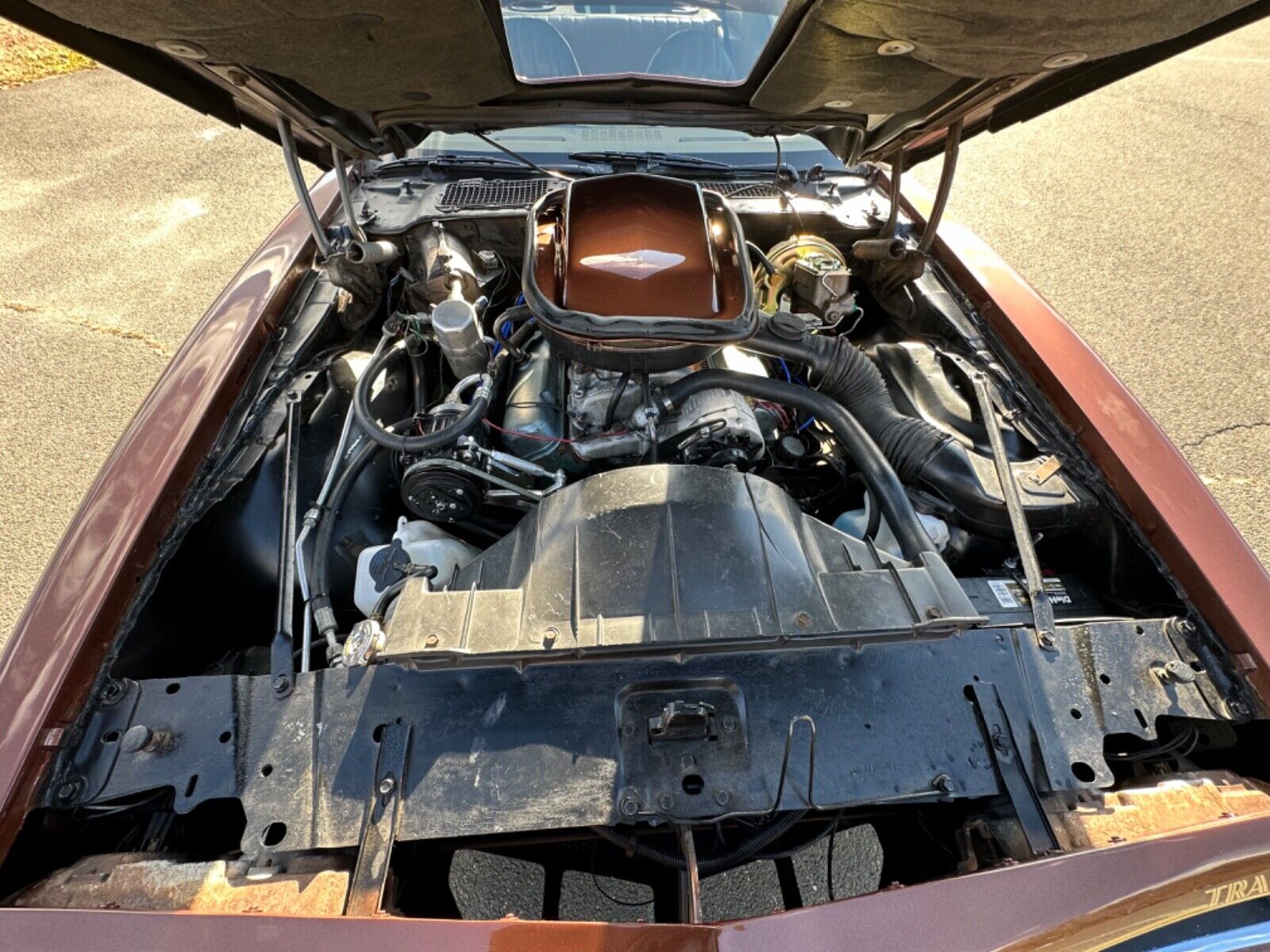 Pontiac-Trans-Am-Coupe-1978-Brown-Tan-95756-23