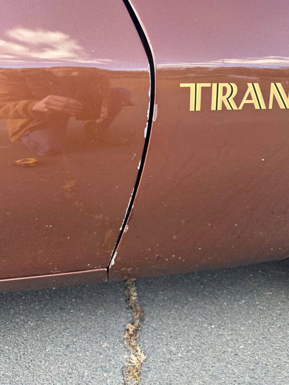 Pontiac-Trans-Am-Coupe-1978-Brown-Tan-95756-28