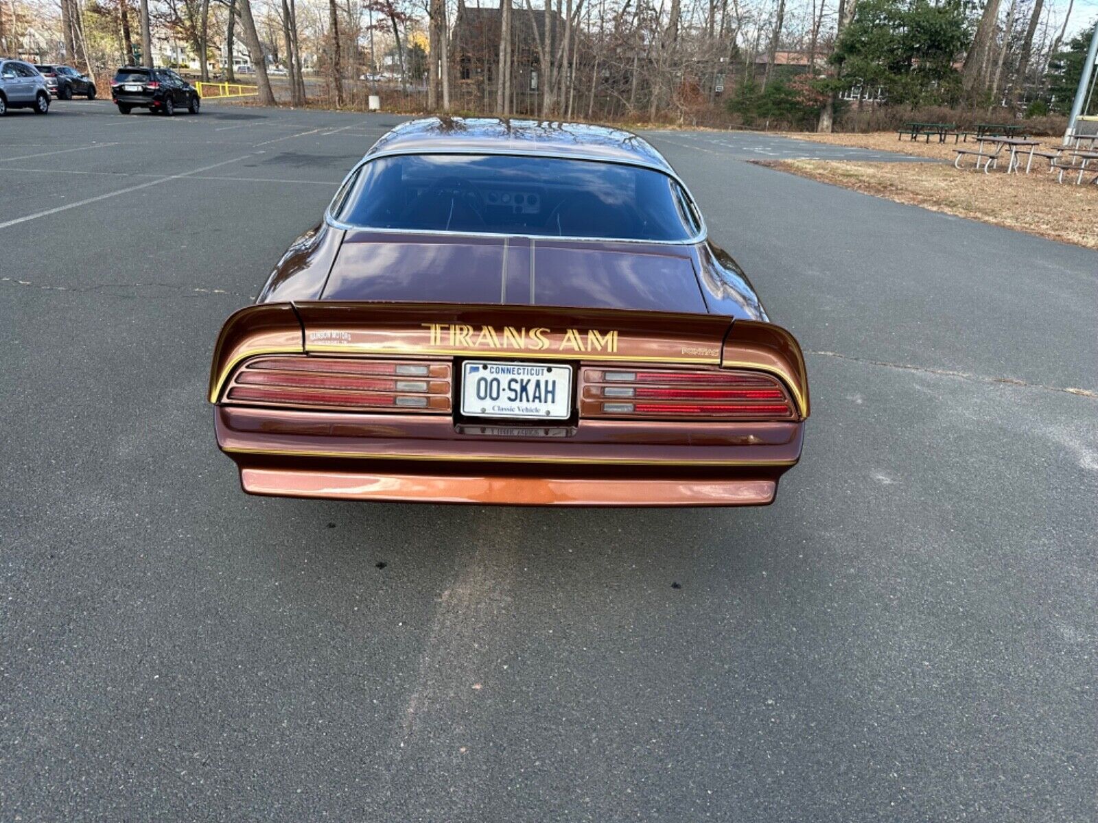 Pontiac-Trans-Am-Coupe-1978-Brown-Tan-95756-3