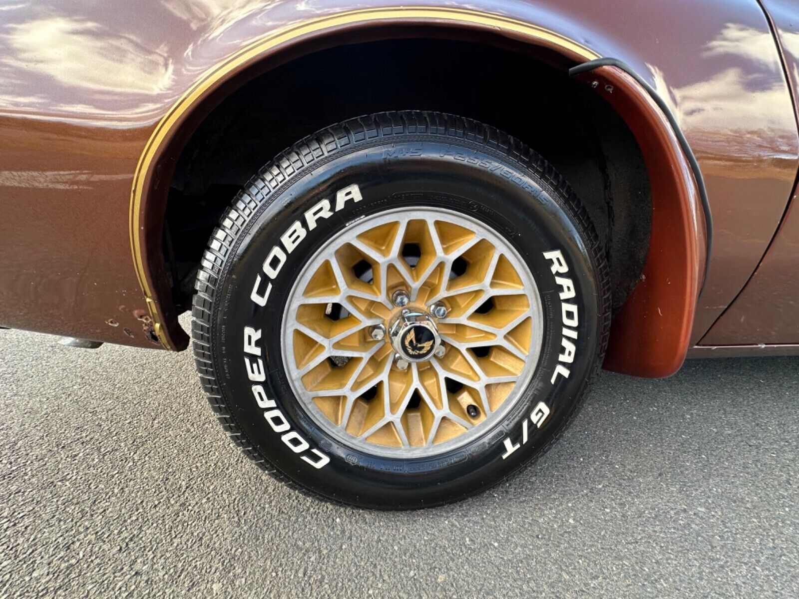 Pontiac-Trans-Am-Coupe-1978-Brown-Tan-95756-35