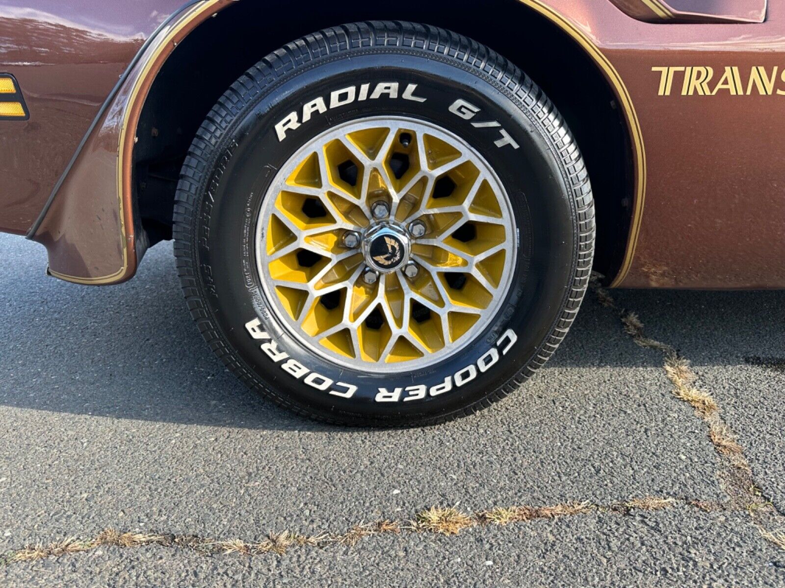 Pontiac-Trans-Am-Coupe-1978-Brown-Tan-95756-37