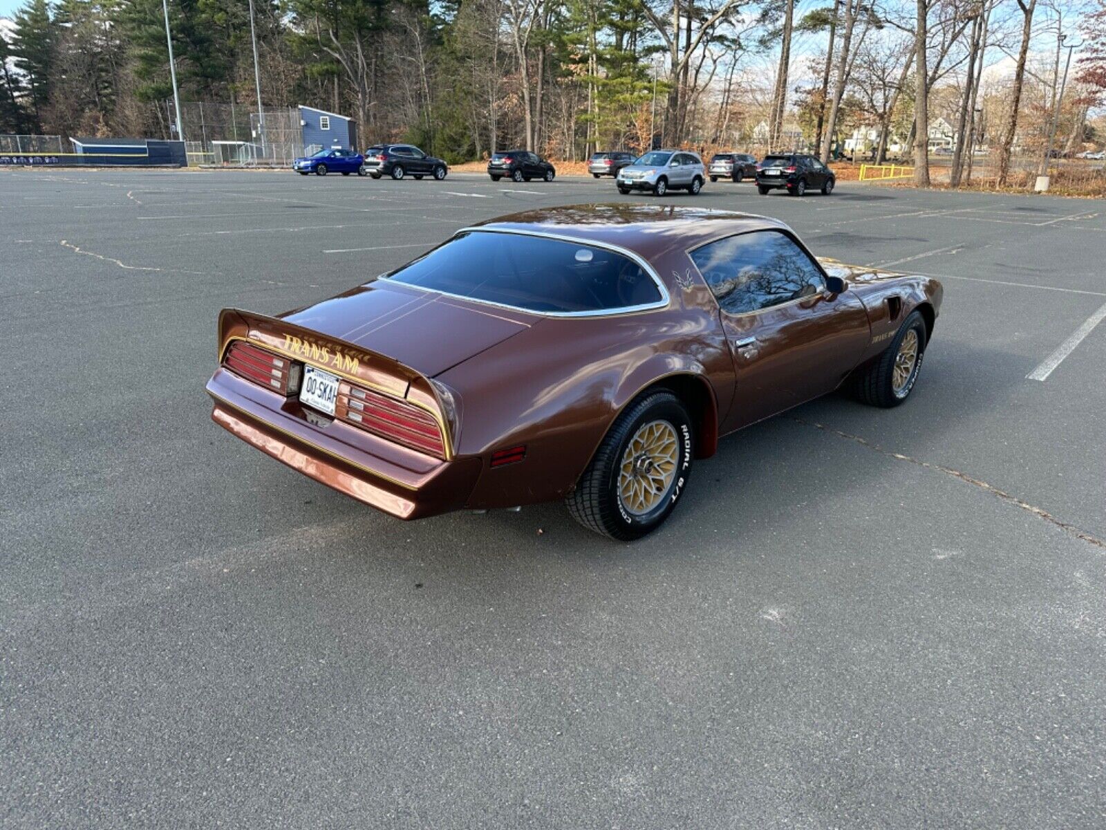 Pontiac-Trans-Am-Coupe-1978-Brown-Tan-95756-4