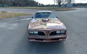 Pontiac-Trans-Am-Coupe-1978-Brown-Tan-95756-7