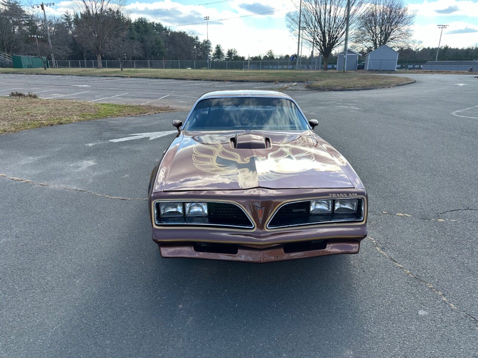 Pontiac-Trans-Am-Coupe-1978-Brown-Tan-95756-7