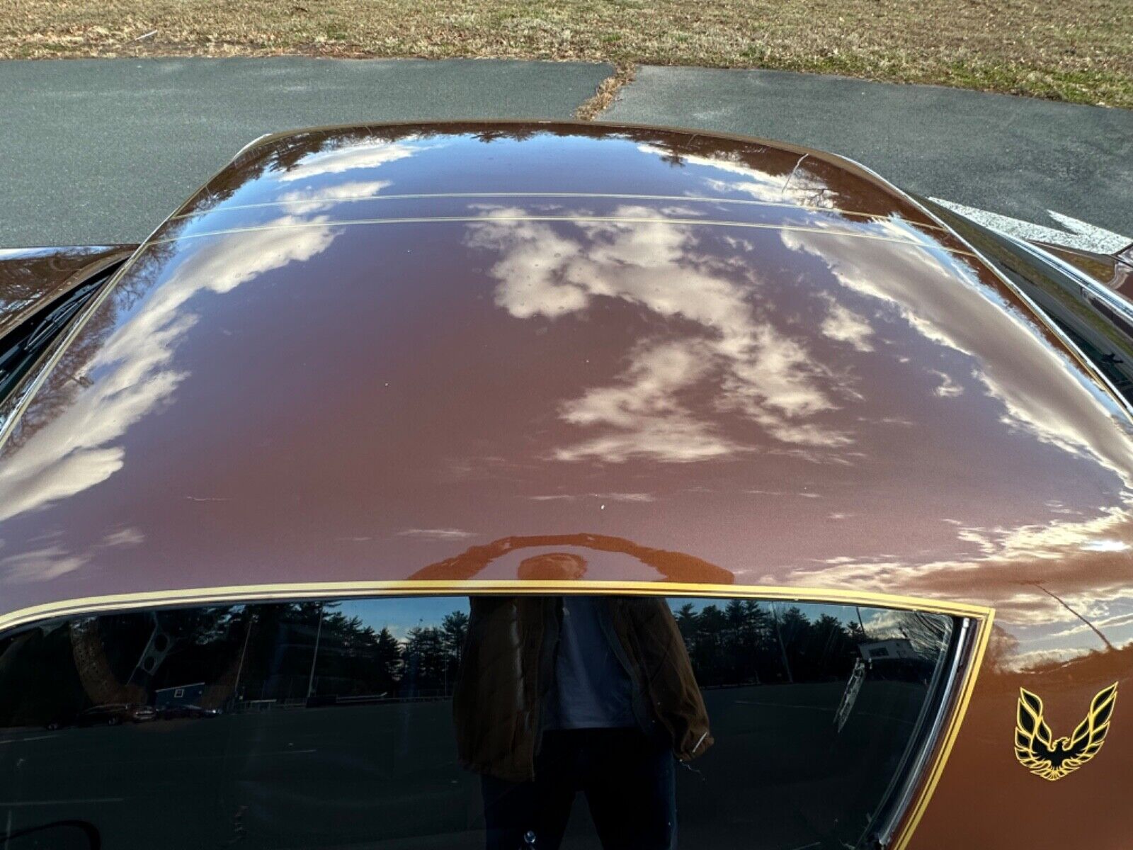 Pontiac-Trans-Am-Coupe-1978-Brown-Tan-95756-8