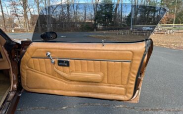 Pontiac-Trans-Am-Coupe-1978-Brown-Tan-95756-9