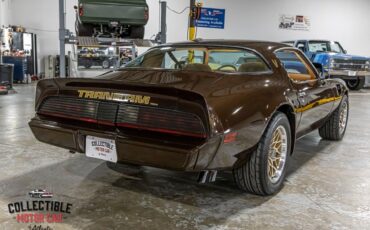 Pontiac-Trans-Am-Coupe-1979-Brown-Camel-116285-13