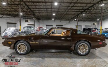 Pontiac-Trans-Am-Coupe-1979-Brown-Camel-116285-17