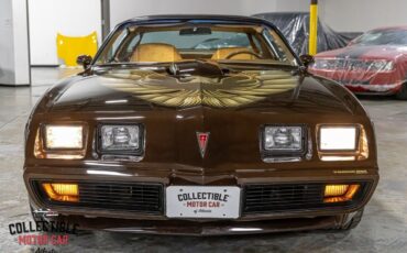 Pontiac-Trans-Am-Coupe-1979-Brown-Camel-116285-19