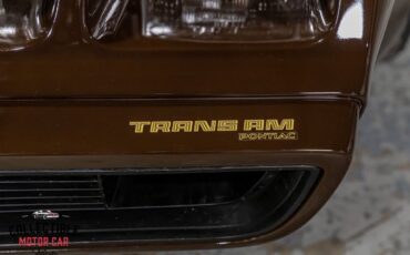 Pontiac-Trans-Am-Coupe-1979-Brown-Camel-116285-28