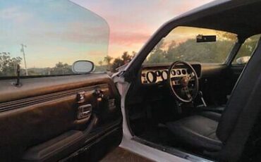 Pontiac-Trans-Am-Coupe-1979-White-Black-196371-10