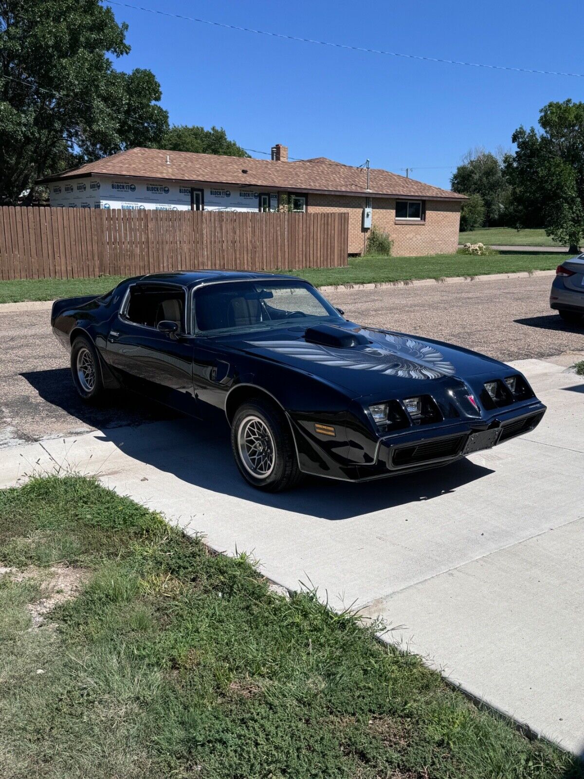 Pontiac-Trans-Am-Coupe-1980-Black-Black-140013-6